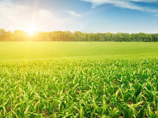 ũ�������